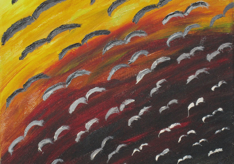 Vogelflug im Abendlicht